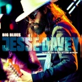 Hugh Coltman、Jesse Davey - How Blue Can You Get