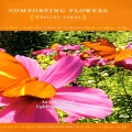David And The High Spirit、Tomaso Albinoni (阿尔比诺尼) - Adagio In G Minor