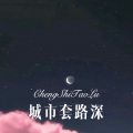 小胖坨 - 情字决