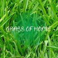DJ Freccia、Filos、Angelo Zibetti、Livio Polini - About the place