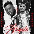 Harteez、Oladips - Atapate (Remix)