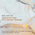 Aarhus Symphony Orchestra - IV. Allegro alla polacca