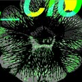 L_cio - Breaking
