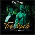 Too Much (Explicit)