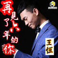王恒 - 再见了六年的你