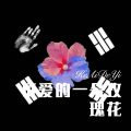 可爱的一朵玫瑰花 (Remix)