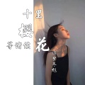 诗梦冬旭 - 十里樱花等诸侯