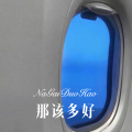 那该多好