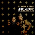 DJ Vadim、Sena、Sam Redmore - Boneshaker (Sam Redmore Remix)
