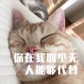 你在我心里无人能够代替