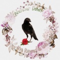 Steve Smith、Another Dawn - Under The Moonlight