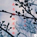 卢楠 - 我愿你桃花不断