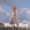 Black Bird (Remix)