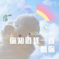 寄烧鸡 - 破碎的酒杯 (Remix)