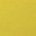 阿有正在睡觉 - YELLOW