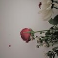 什么小姐 - 麦