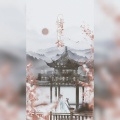 蓎千舞 - 将军诺