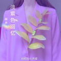 淡紫色的回忆