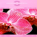 David And The High Spirit、Tomaso Albinoni (阿尔比诺尼) - Adagio In G Minor