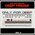 Damian Daimler、SOUL LOVERS - Hours Hours (SoulLoversMix)