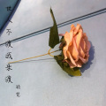 杨总Muisc - 世人不渡我来渡