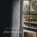 Penguins、Pale aqua - After the Rain