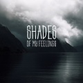 Shades of My Feelings