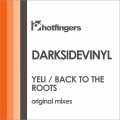 Darksidevinyl - Back to the Roots