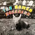 David Gray、Roman Noseband - Shouty