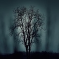 Abaronm - Night