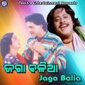 Suresh Wadekar、Shantanu Mohapatra、Anuradha Paudwal - Alo Empala