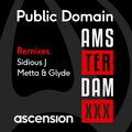 Public Domain、Metta & Glyde - Amsterdam (Metta&GlydeRemix)