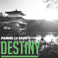 Manuel Le Saux、Riot Night - Hand on Heart (RadioEdit)