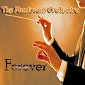 Mantovani & His Orchestra - Summer Night