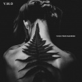 Y.M.O、Y.M.O. - Voice From  Madness