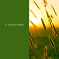 In the Meadow