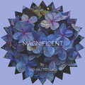 Vishnu Prasad - Magnificent