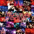 「ハチハチ」LIVE!!