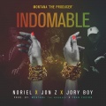 Indomable