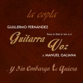 Guillermo Fernandez、Manuel Galiana - Encuentro