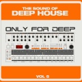 Anthony Maserati、Bit Express - Invents a Name (AnthonyMaserati'sNightMix)