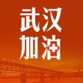 HWQ核武器 - 武汉加油