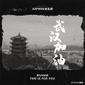Aspirin消炎药 - 武汉加油