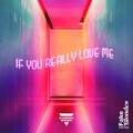 The Two Fake Blondes - If You Really Love Me