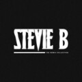 Snapshot、Stevie B - Promise to Share