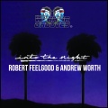 Robert Feelgood、Andrew Worth - Into The Night (Original Mix)