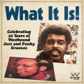 Melvin Sparks - In the Morning