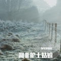 弹琴的骆驼 - 湖北护士姑娘 (Demo)