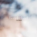 Jonathan Reichling、Amoll - Wonderland