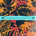 Niko The Kid - Dance Du Sol (Badapa)(ExtendedMix)